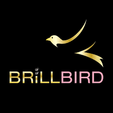 Brill Bird