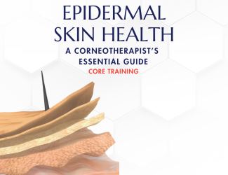 Epidermal Skin Health Course 