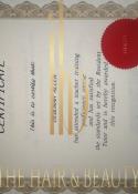 Debbie Allen, certificate 3 of 10
